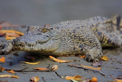 Australien Golfreisen und Golfurlaub